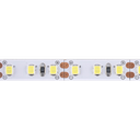 TIRA 2835 MACROLED BCO FRIO IP20 - DC12V - 12W - 60 LED X 5 MTS