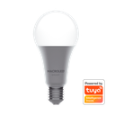 BULBO SMART A60 12W - E27 AC100-240V - WIFI+BLUETOOTH - RGB+BLANCOS