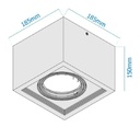 PLAFON CARDANICO AR111 X1 BLANCO