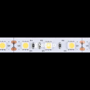 TIRA 5050 MACROLED BCO FRIO IP20 - DC12V - 14,4W - 60 LED X 5 MTS