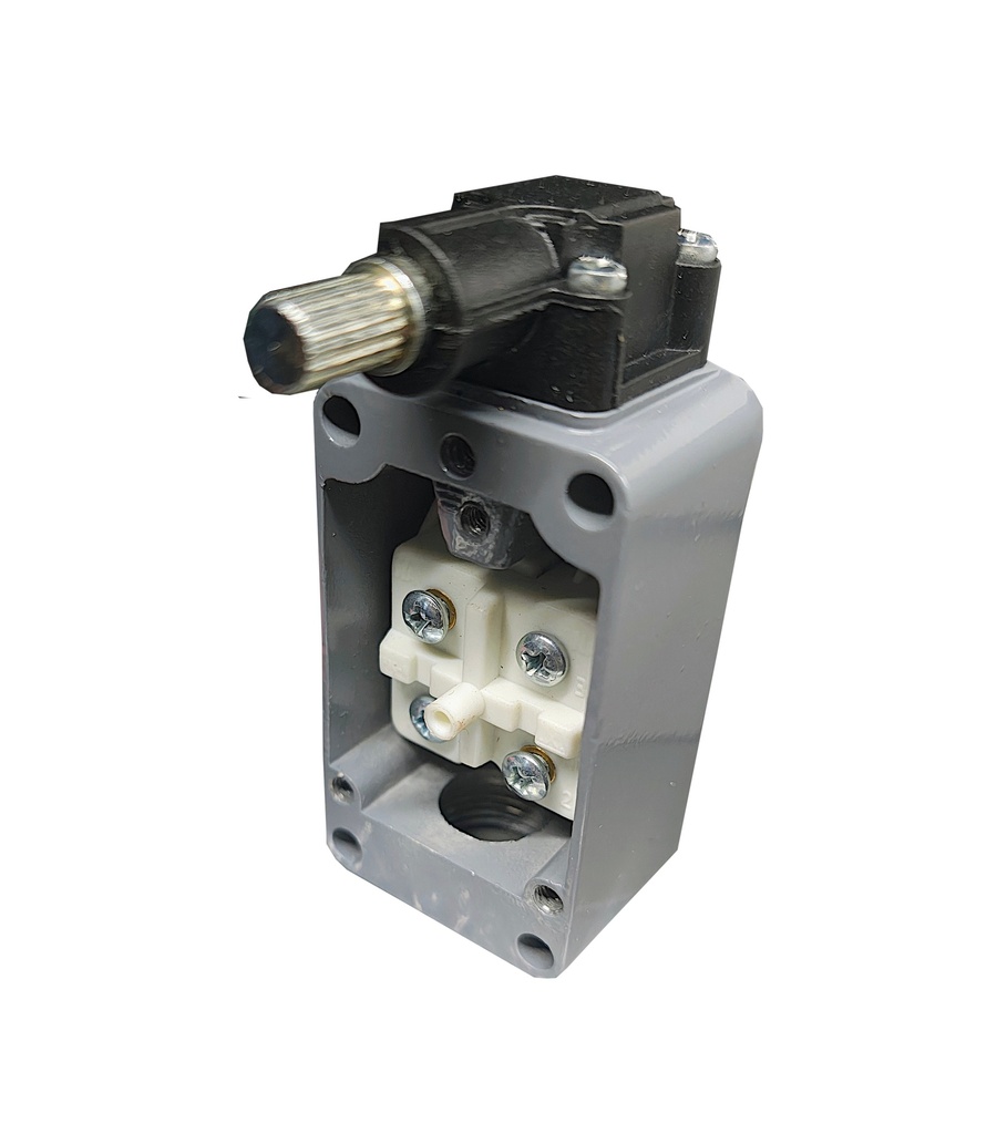 Límite de carrera FK-1005