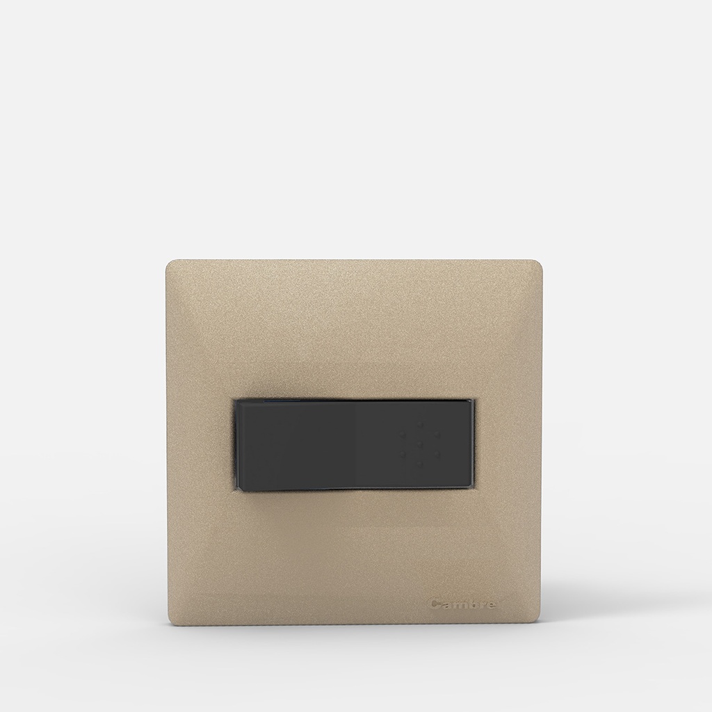 TAPA MIGNON 1 MODULO SIGLO XXII CHAMPAGNE