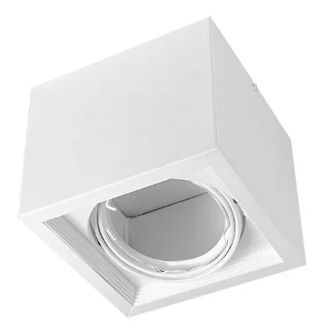 [CORAPCAR-X1-CB] PLAFON CARDANICO AR111 X1 BLANCO