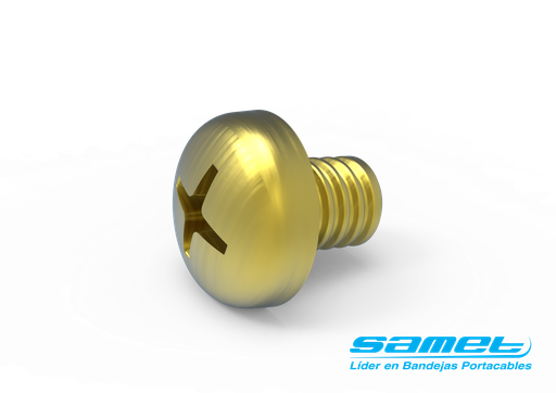 [SAMTCT-1/4-100] Dis-TORNILLO CABEZA TANQUE DE 1/4'' CINCADO X 100 UNID