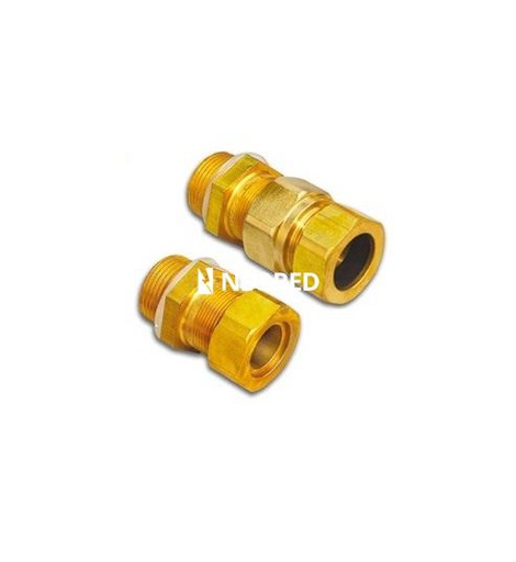 [DEL4223117] Prensacable  1/2NPT M recto AcGo 11/14D s-ar